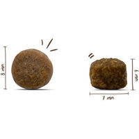 Produktbild von Bosch Hundefutter Mini Adult Lamm und Geflügel 2x15kg