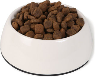 Produktbild von Bosch PLUS Hunde-Trockenfutter Forelle und Kartoffel für Adult 2x12,5kg