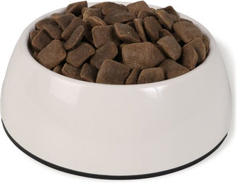Produktbild von Bosch SOFT Hunde-Trockenfutter Adult Ente und Geflügel mit hohem Fleischanteil 2x12,5kg