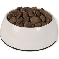 Produktbild von Bosch SOFT Hunde-Trockenfutter Adult Ente und Geflügel mit hohem Fleischanteil 2x12,5kg