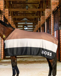 Produktbild von BOSS Equestrian Abschwitzdecke Signature Stripe Beige Bunt aus Polyester
