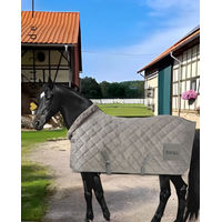Produktbild von BOSS Equestrian Abschwitzdecke Velvet in Grau