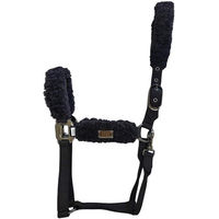Produktbild von BOSS Equestrian HW 2026 Santiago Halfter für Warmblut aus Polypropylen