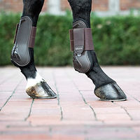 Produktbild von Bounce Mesh Gamaschen für Warmblut Pferde in Braun und Schwarz