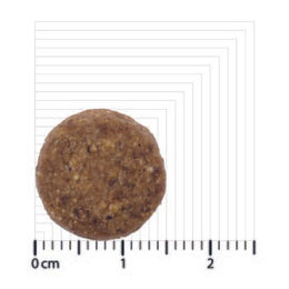 Bozita Original Adult Hundeweizenfreies Trockenfutter 12 kg - 2 x 12 kg – Bild 1 von 6