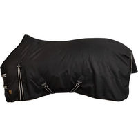 Produktbild von BR Equitation Classic Outdoor-Pferdedecke aus Polyester in Schwarz 175/130 cm mit 150g Füllung