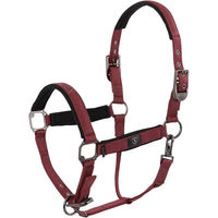 Produktbild von BR Equitation CLX Pferd Halfter aus Neopren in Schwarz oder Rot Größe M