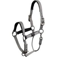 Produktbild von BR Equitation CLX Pferdehalfter aus Neopren in Schwarz oder Grau für Vollblut