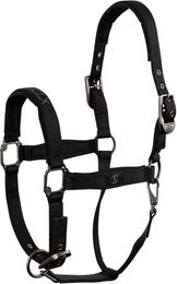 Produktbild von BR Equitation CLX Pferdehalfter mit Neopren in Schwarz für Vollblut