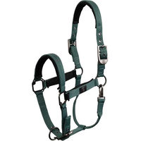 Produktbild von BR Equitation CLX Pferdehalfter mit Neopren in Schwarz oder Grün für Vollblut