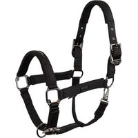 Produktbild von BR Equitation Eevolv Josh Nylonhalfter für Ponys in Schwarz