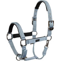 Produktbild von BR Equitation Eevolv Josh Nylonhalfter für Shettys in Grau oder Blau