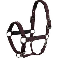 Produktbild von BR Equitation Eevolv Josh Nylonhalfter für Vollblut in Braun