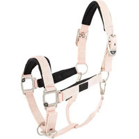 Produktbild von BR Equitation Eevolv Karin Halfter aus Neopren in Rosa für Warmblut