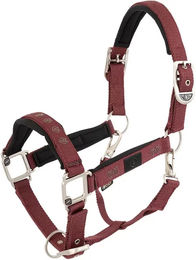 Produktbild von BR Equitation Eevolv Karin Halfter aus Neopren in Rot