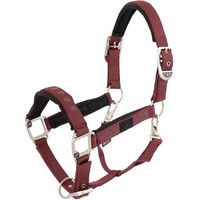 Produktbild von BR Equitation Eevolv Karin Halfter aus Neopren in Rot