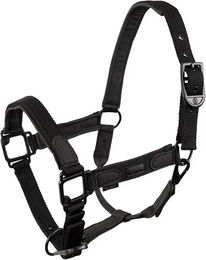BR Equitation Eevolv Laudine Halfter für Pferde – Bild 1 von 1