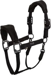 BR Equitation Eevolv Lavina Halfter für Pferde – Bild 1 von 1