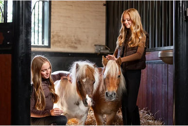 BR Equitation Eevolv Linn Rollkragenpullover für Kinder – Bild 1 von 1