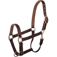 Produktbild von BR Equitation Event Halfter aus Nylon in Braun Full