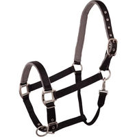 Produktbild von BR Equitation Event Halfter aus Nylon in Schwarz