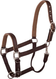 Produktbild von BR Equitation Event Halfter für Ponys aus Nylon in Braun