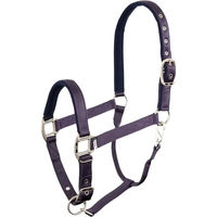 Produktbild von BR Equitation Event Halfter für Ponys aus Nylon in Lila
