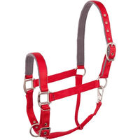 Produktbild von BR Equitation Event Halfter für Vollblut aus Nylon in Rot