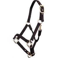 Produktbild von BR Equitation Fohlenhalfter aus Nylon mit Messingbeschlägen in Schwarz