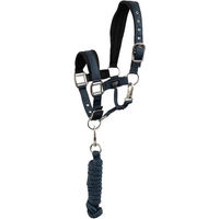 Produktbild von BR Equitation Halfter und Anbindestrick für Shetlandponys aus Neopren in Blau mit Silber