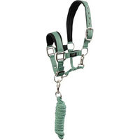 Produktbild von BR Equitation Halfter und Führleine für Shetlandponys aus Neopren in Grün und Silber