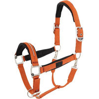 Produktbild von BR Equitation Kimberly Pony Gurtband aus Polypropylen in Orange und Silber