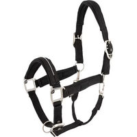 Produktbild von BR Equitation Kimberly Pony Gurtband aus Polypropylen Schwarz Silber