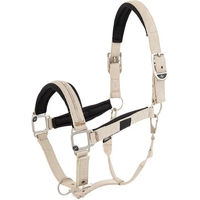 Produktbild von BR Equitation Kimberly Trense aus Polypropylen für Vollblut in Beige und Silber