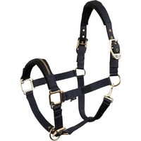 Produktbild von BR Equitation Lieve Pferdehalfter aus Nylon