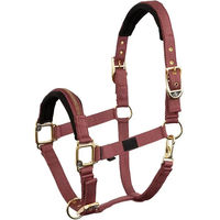 Produktbild von BR Equitation Lieve Pferdehalfter aus Nylon