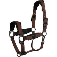 Produktbild von BR Equitation Loran Halfter für Pferde