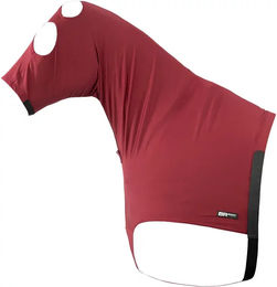 Produktbild von BR Equitation Lycrawear Halsschutz für Pferde Rot XS