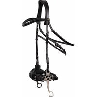 Produktbild von BR Equitation Lydney Anatomisch geformter Reitzäum aus Leder für Warmblut in Schwarz mit Silber