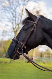Produktbild von BR Equitation Nüsternschutz für Pferde aus Polyester Schwarz