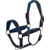 Produktbild von BR Equitation Nylonhalfter Julia Blau