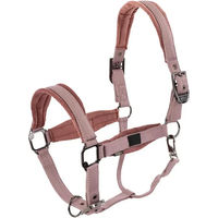 Produktbild von BR Equitation Nylonhalfter Julia Rosa