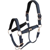 Produktbild von BR Equitation Pony Halfter aus Neopren in Rosa Gold
