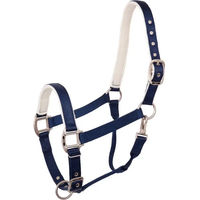 Produktbild von BR Equitation Pony Halfter aus Nylon in Blau