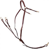 Produktbild von BR Equitation Rayleigh Vorderzeug für Pferde mit Sattelzügeln aus Leder