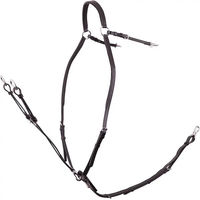Produktbild von BR Equitation Rayleigh Vorderzeug für Pferde mit Sattelzügeln aus Leder in Schwarz
