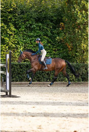 BR Equitation Reit-Polo Damen Lieke mit langen Ärmeln – Bild 1 von 1