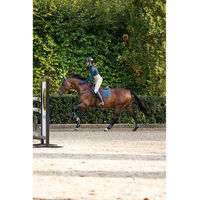 Produktbild von BR Equitation Reit-Polo Damen mit langen Ärmeln Lieke