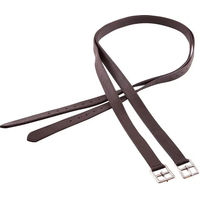 Produktbild von BR Equitation Steigbügelriemen aus Nylon in Braun mit Silber