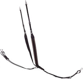 Produktbild von BR Equitation Taunton Elastisches Leder-Vorderzeug für Pferde mit Martingal in Schwarz